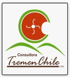 SERVICIOS DE CONSULTORIA E INGENIERIA TREMER CHILE SERVICIOS DE CONSULTORIA E INGENIERIA TREMER CHILE